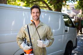 Best Termite Inspection and Treatment  in Canton, IL